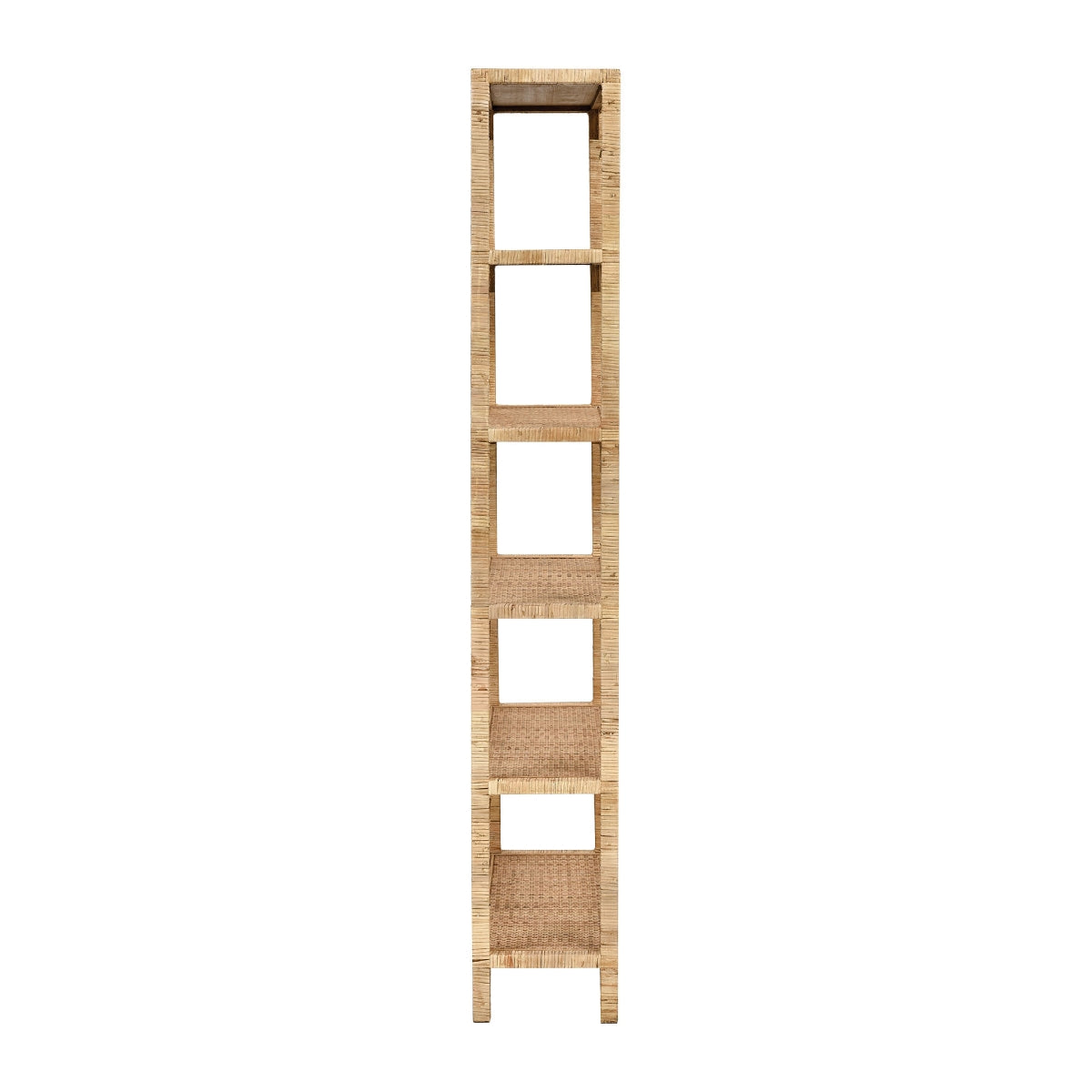 Fargesia Bookshelf
